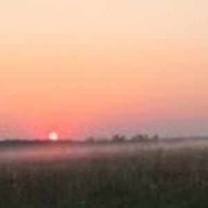 Meet your Posher, Lily